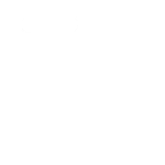 Digital dashboard for performance metrics